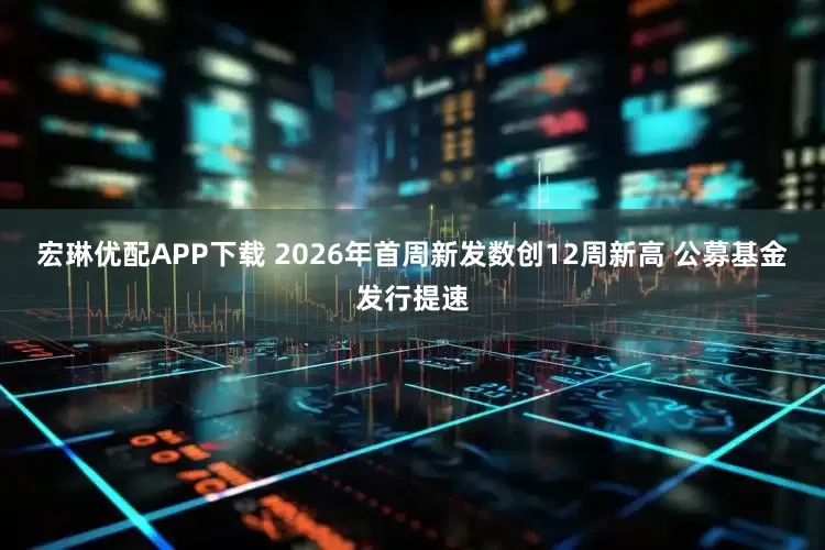 宏琳优配APP下载 2026年首周新发数创12周新高 公募基金发行提速